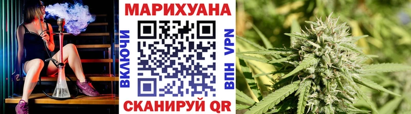 Бошки марихуана VHQ  где найти наркотики  Новотитаровская 
